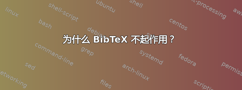 为什么 BibTeX 不起作用？