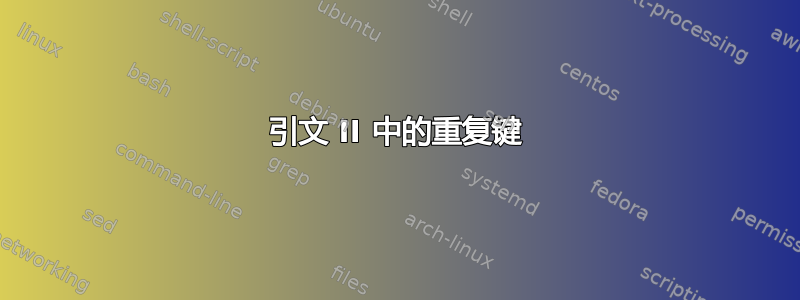 引文 II 中的重复键