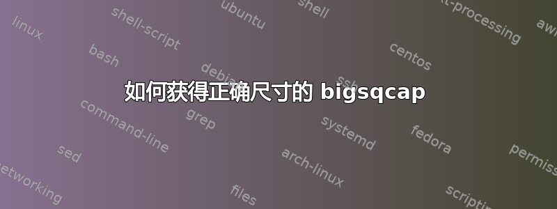 如何获得正确尺寸的 bigsqcap