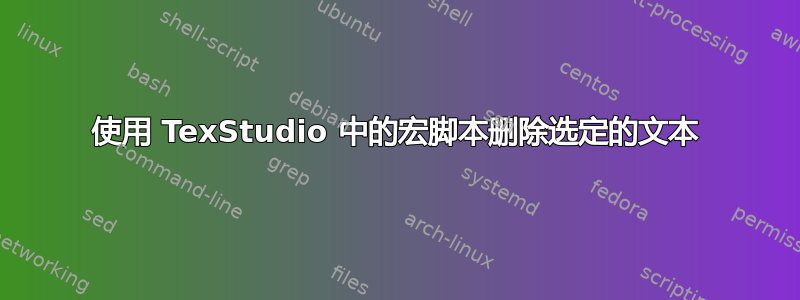 使用 TexStudio 中的宏脚本删除选定的文本