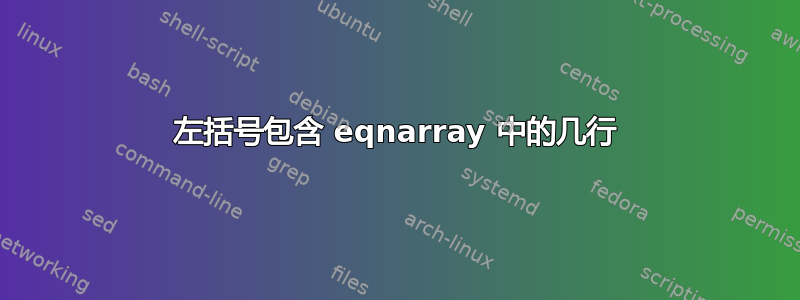 左括号包含 eqnarray 中的几行