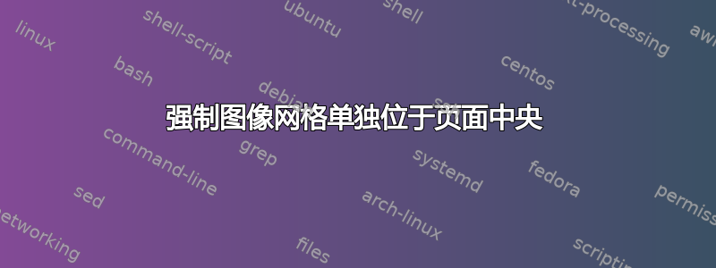 强制图像网格单独位于页面中央