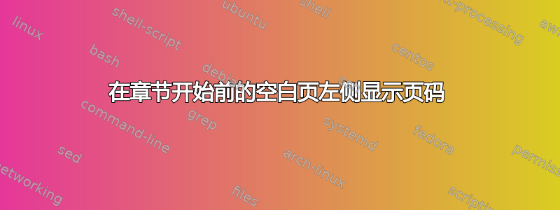 在章节开始前的空白页左侧显示页码