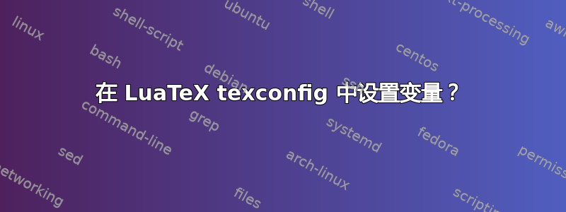 在 LuaTeX texconfig 中设置变量？