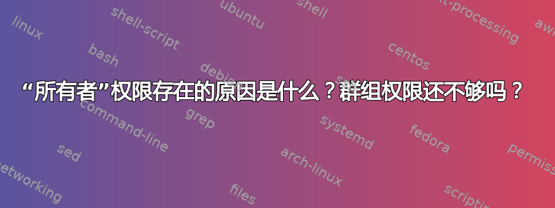 “所有者”权限存在的原因是什么？群组权限还不够吗？