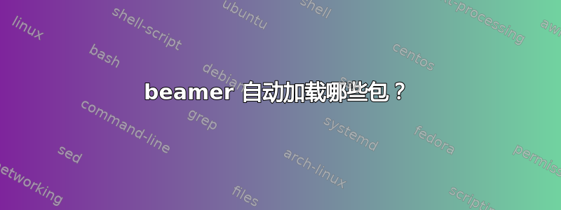 beamer 自动加载哪些包？