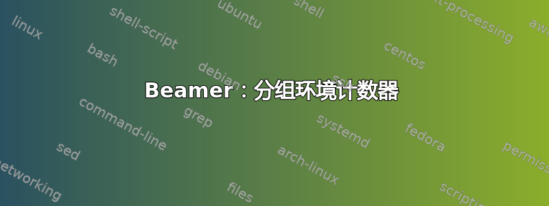 Beamer：分组环境计数器