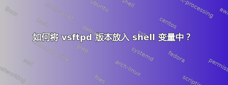 如何将 vsftpd 版本放入 shell 变量中？