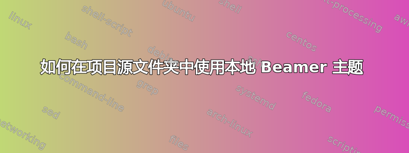 如何在项目源文件夹中使用本地 Beamer 主题