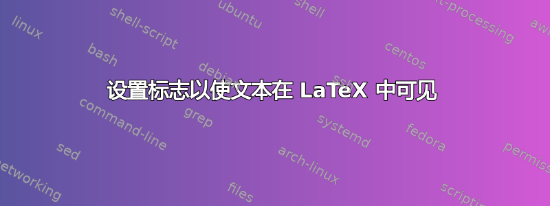 设置标志以使文本在 LaTeX 中可见