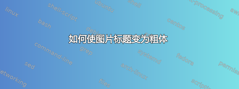 如何使图片标题变为粗体