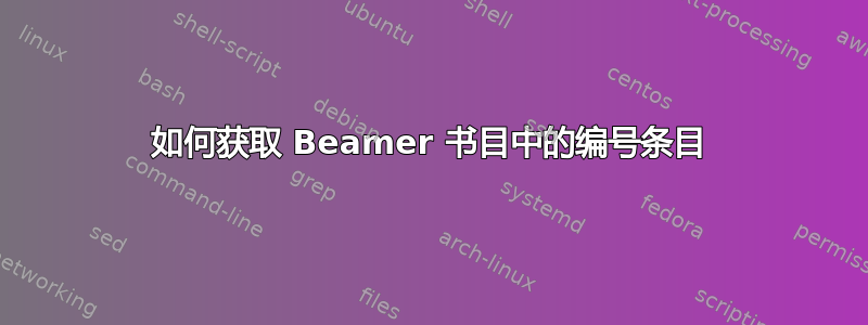 如何获取 Beamer 书目中的编号条目