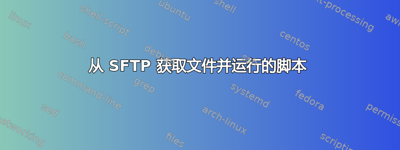 从 SFTP 获取文件并运行的脚本