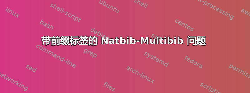 带前缀标签的 Natbib-Multibib 问题