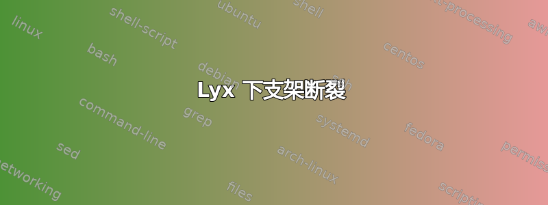 Lyx 下支架断裂