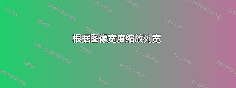 根据图像宽度缩放列宽