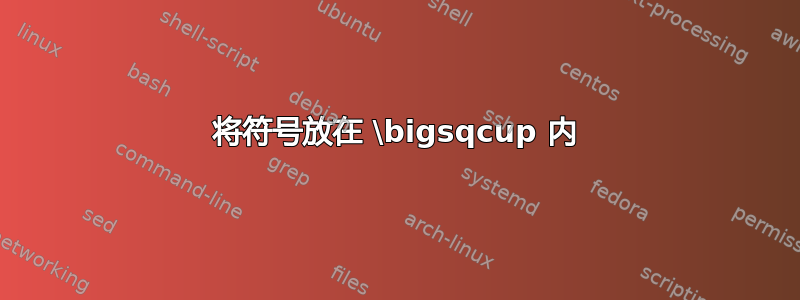 将符号放在 \bigsqcup 内