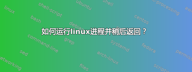 如何运行linux进程并稍后返回？