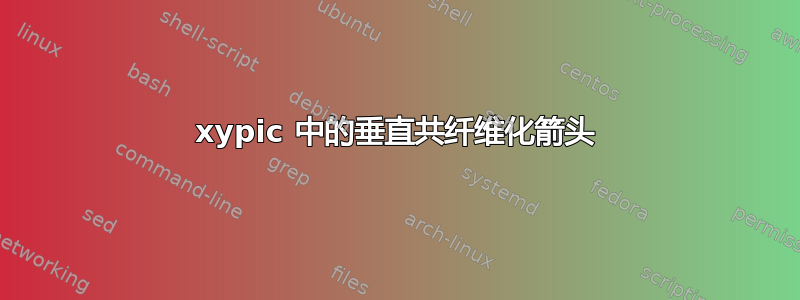 xypic 中的垂直共纤维化箭头