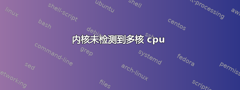 内核未检测到多核 cpu