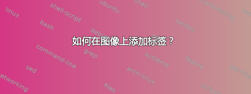 如何在图像上添加标签？