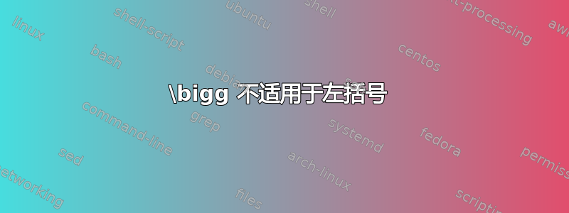 \bigg 不适用于左括号 