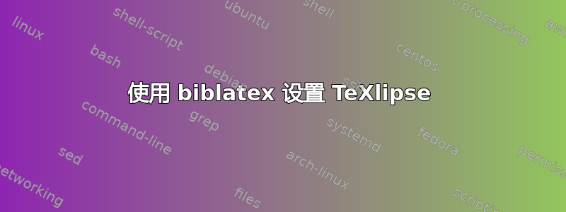 使用 biblatex 设置 TeXlipse