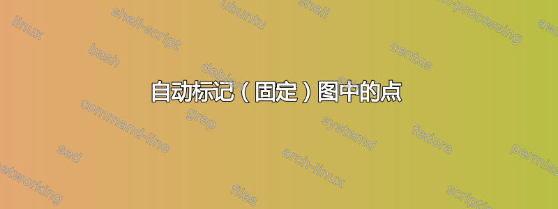 自动标记（固定）图中的点