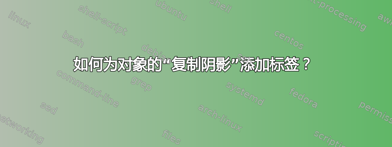 如何为对象的“复制阴影”添加标签？