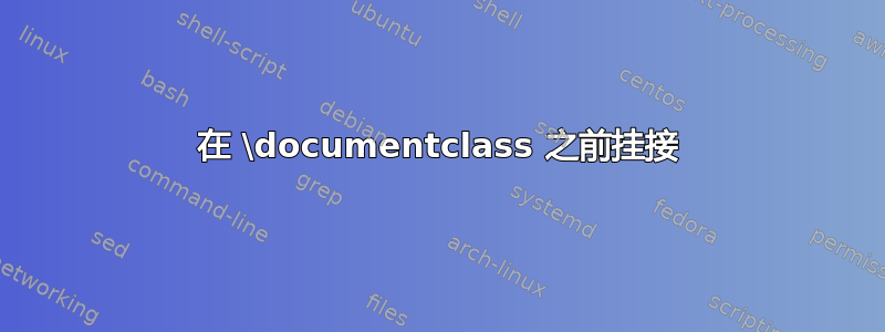 在 \documentclass 之前挂接