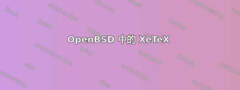 OpenBSD 中的 XeTeX