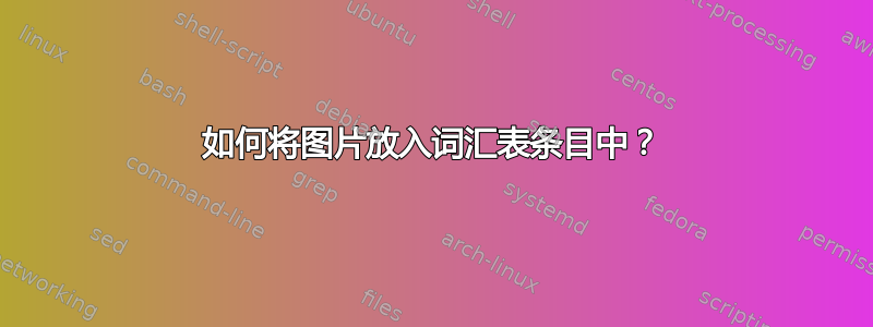 如何将图片放入词汇表条目中？