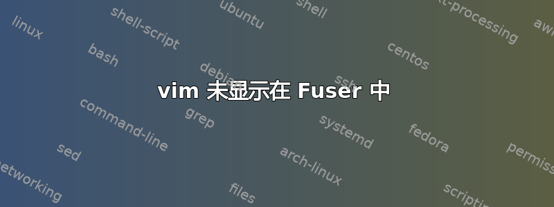 vim 未显示在 Fuser 中