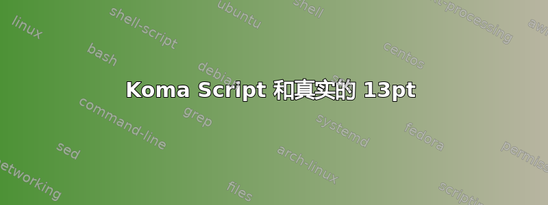 Koma Script 和真实的 13pt