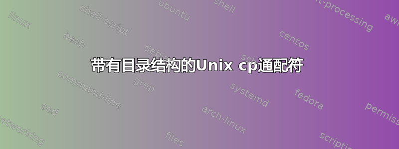 带有目录结构的Unix cp通配符