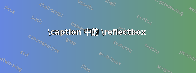 \caption 中的 \reflectbox