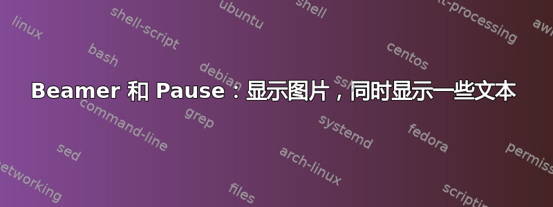 Beamer 和 Pause：显示图片，同时显示一些文本