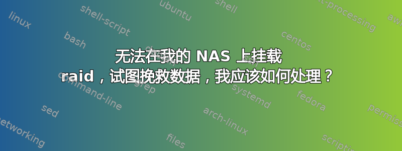 无法在我的 NAS 上挂载 raid，试图挽救数据，我应该如何处理？