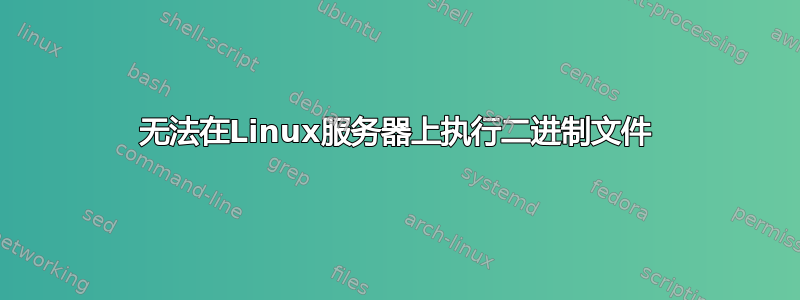 无法在Linux服务器上执行二进制文件