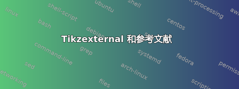 Tikzexternal 和参考文献 