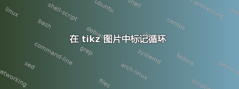 在 tikz 图片中标记循环