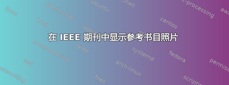 在 IEEE 期刊中显示参考书目照片