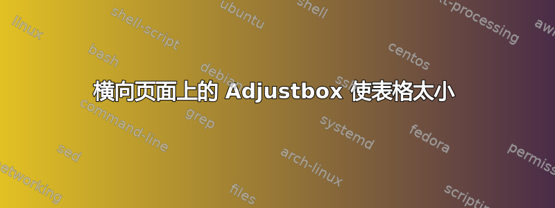 横向页面上的 Adjustbox 使表格太小