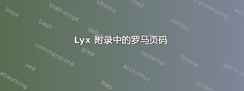 Lyx 附录中的罗马页码