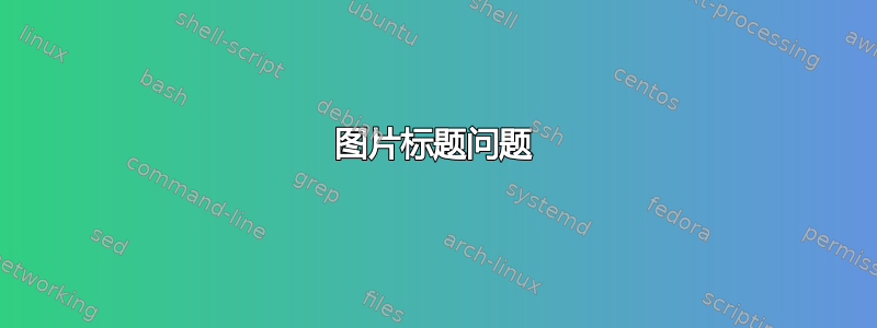 图片标题问题