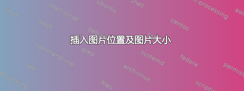 插入图片位置及图片大小