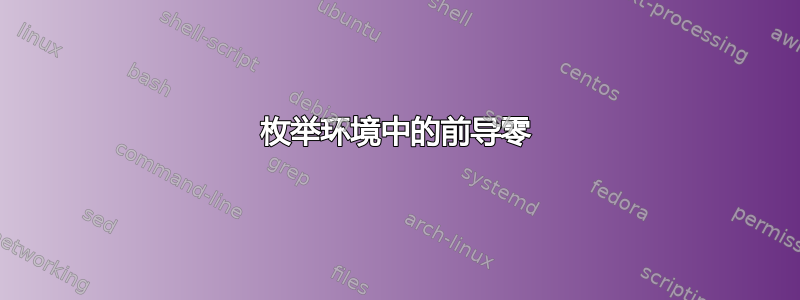 枚举环境中的前导零