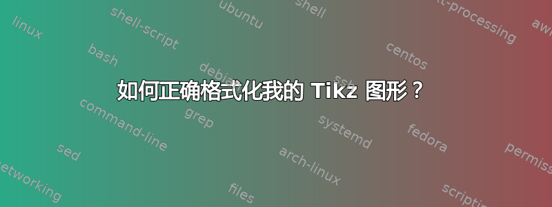 如何正确格式化我的 Tikz 图形？