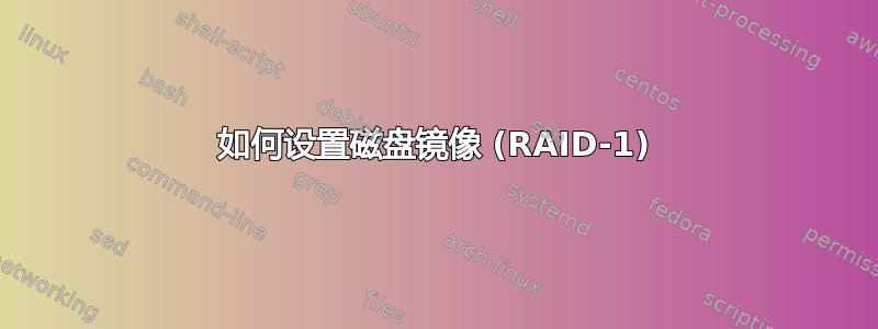 如何设置磁盘镜像 (RAID-1)