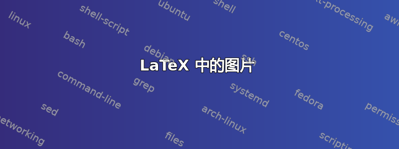 LaTeX 中的图片